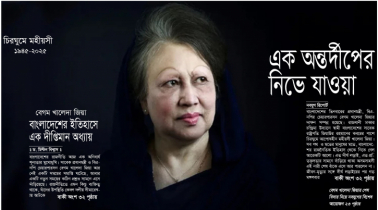 এক অন্তর্দীপের নিভে যাওয়া