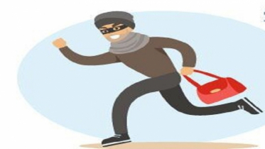 সান ডিয়েগো’তে চুরির  ডলারে প্লাস্টিক সার্জারি 