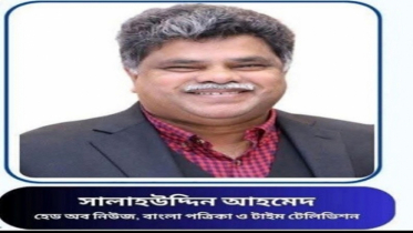 দুর্বৃত্তের হামলায় সাংবাদিক সালাহউদ্দিন আহমেদ আহত