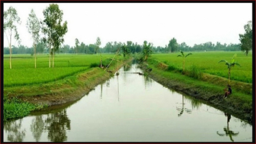 ২০ হাজার কিলোমিটার খাল খনন করবে  সরকার